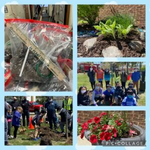 photos from Arbor Day including planting a tree