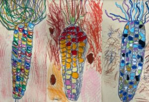 Drawings of corn by students